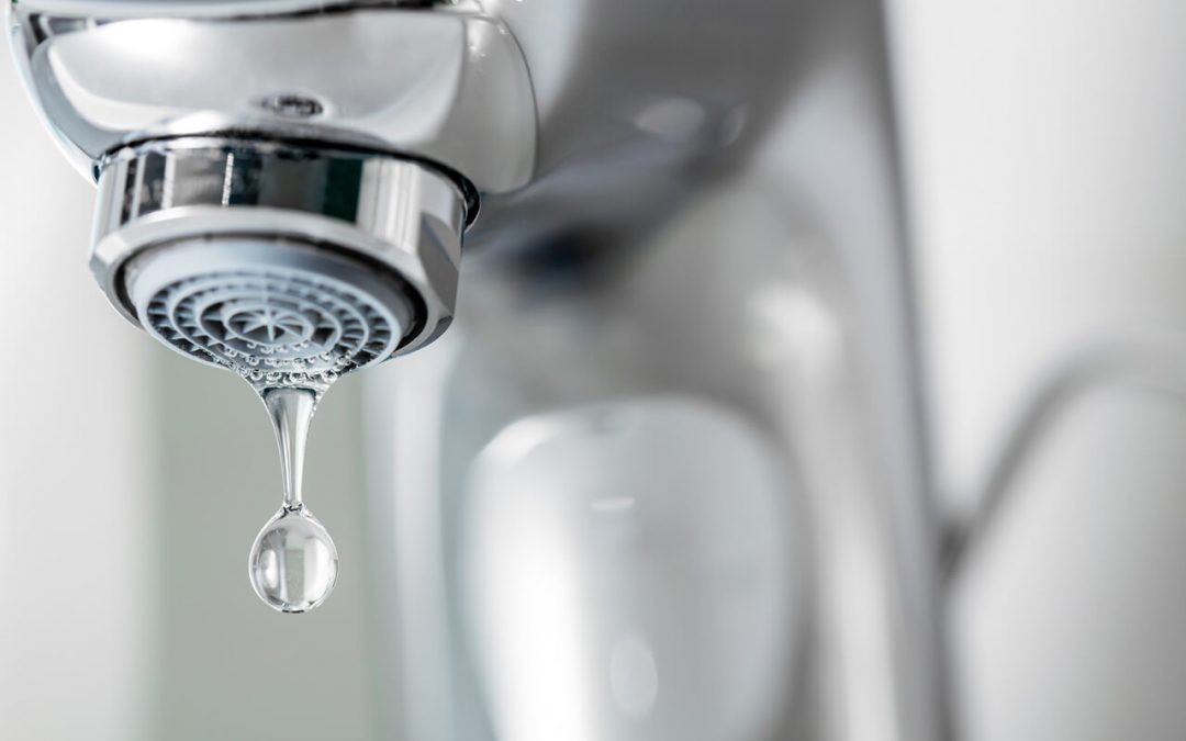 5 Tips to Conserve Water in Summer